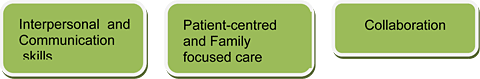 Interpersonal and Communication skills; Patient-centred and Family focused care; Collaboration
