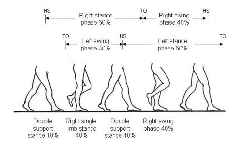 Common Pediatric MSK Concerns