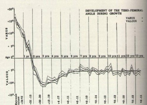 graph.jpg